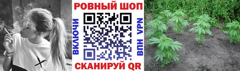 Где можно купить наркотики Бакал Альфа ПВП  Амфетамин  COCAIN  МЕФ 