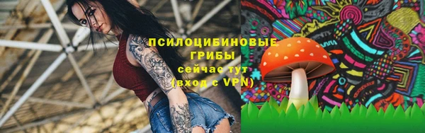 гашиш Новодвинск